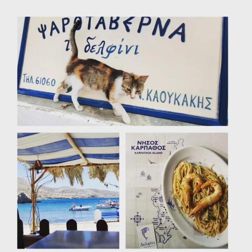 Δελφίνι: Το αγαπημένο εστιατόριο στην Κάρπαθο για λαχταριστή ψαροκατάσταση