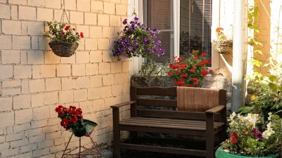 Για να κοσμούν το σπιτικό σας φέτος το καλοκαίρι: 5 φυτά που αντέχουν την πολύ ζέστη