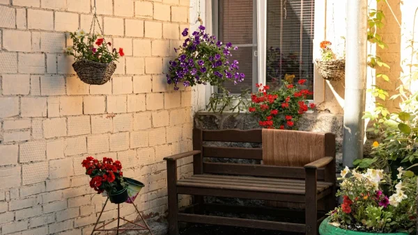 Για να κοσμούν το σπιτικό σας φέτος το καλοκαίρι: 5 φυτά που αντέχουν την πολύ ζέστη