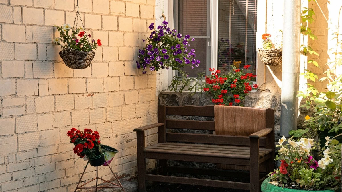 Για να κοσμούν το σπιτικό σας φέτος το καλοκαίρι: 5 φυτά που αντέχουν την πολύ ζέστη