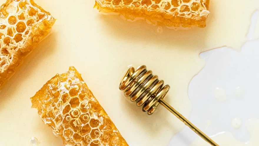 μέλι και κερύθρα