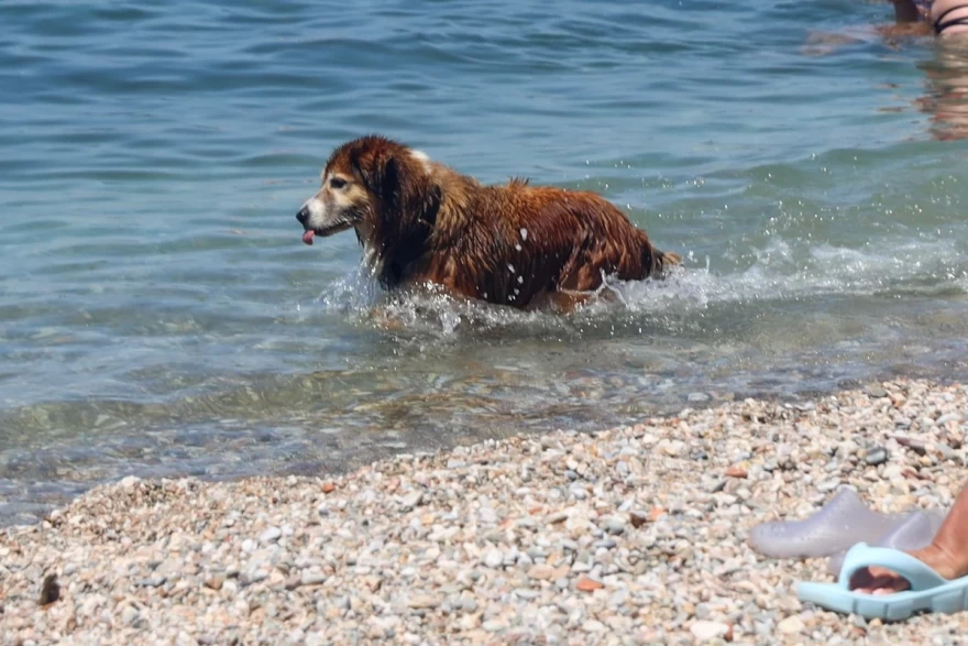 Καλοκαίρι Μερομήνια