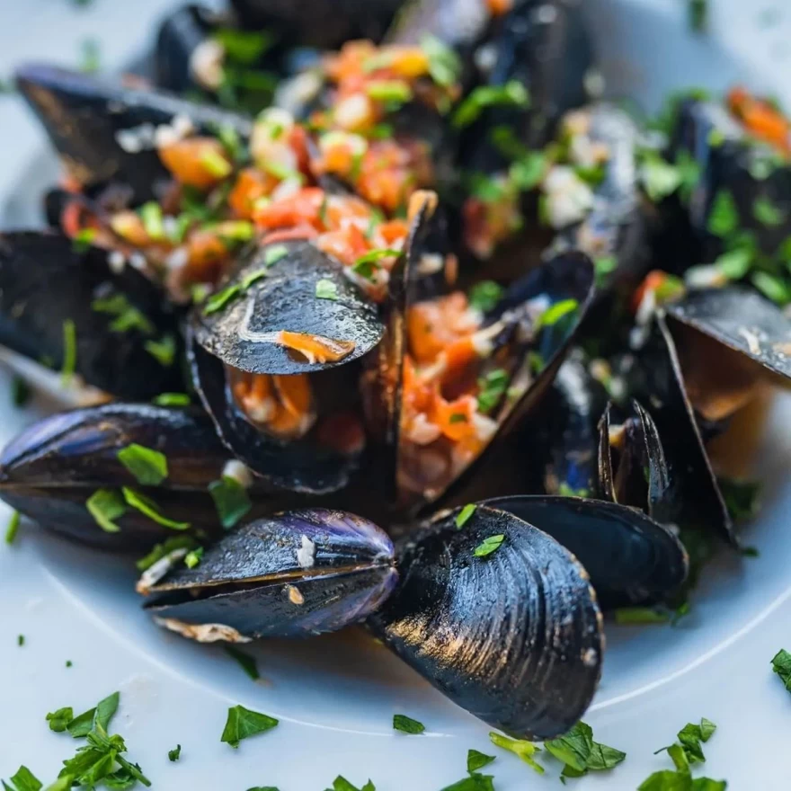 Δελφίνι Κάρπαθος