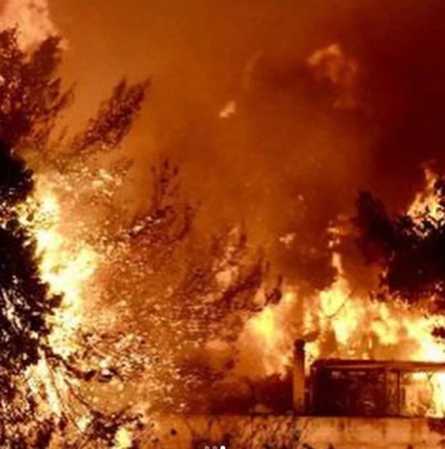 Δημήτρης Αρβανίτης φωτιές