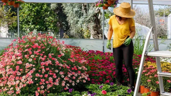 Αυτά τα 9 φυτά μπορούν να σε σκοτώσουν - Κάποια μπορεί να τα έχεις στον κήπο σου και να μην τα γνωρίζεις