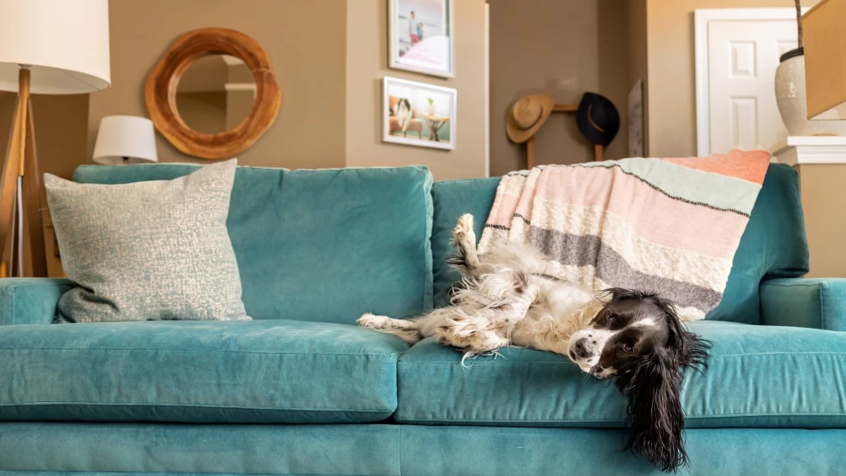 ΙΚΕΑ: Αυτό τον καθρέφτη έχουν οι Γαλλίδες fashionistas στο σπίτι τους - Κοστίζει 49,99 ευρώ και είναι viral