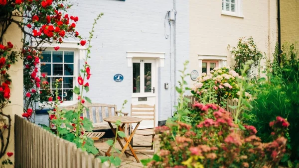 Το ένα μπορεί να προκαλέσει εγκεφαλική νάρκη και το άλλο καρδιακή δυσλειτουργία - Τα δυο επικίνδυνα φυτά που μπορεί να έχετε σπίτι σας