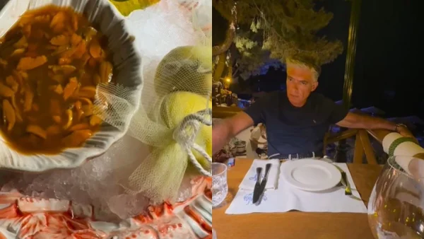 Τατιάνα Στεφανίδου: Οι βουτιές με μπικίνι και οι έξοδοι με τον Νίκο Ευαγγελάτο - Βίντεο από τις διακοπές με το χλιδάτο σκάφος τους