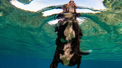 Ζώδια: Τι μας περιμένει σήμερα, Σάββατο 6 Ιουλίου