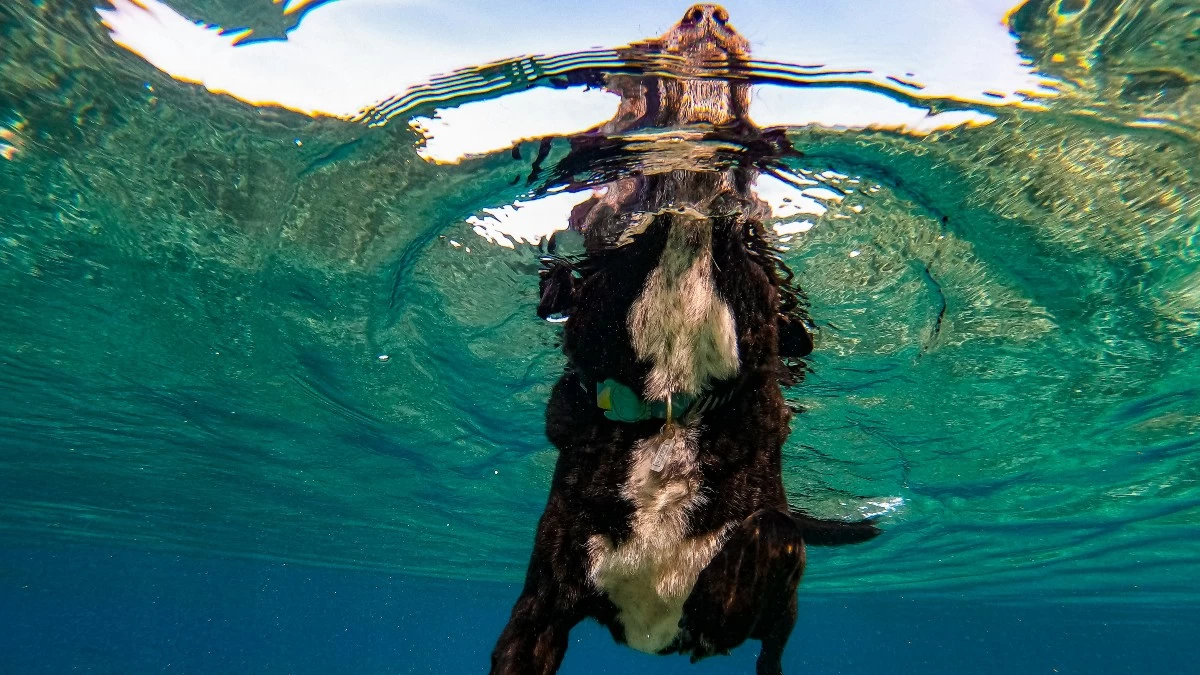 Ζώδια: Τι μας περιμένει σήμερα, Σάββατο 6 Ιουλίου