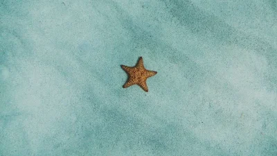 Ζώδια: Τι μας περιμένει σήμερα, Σάββατο 20 Ιουλίου