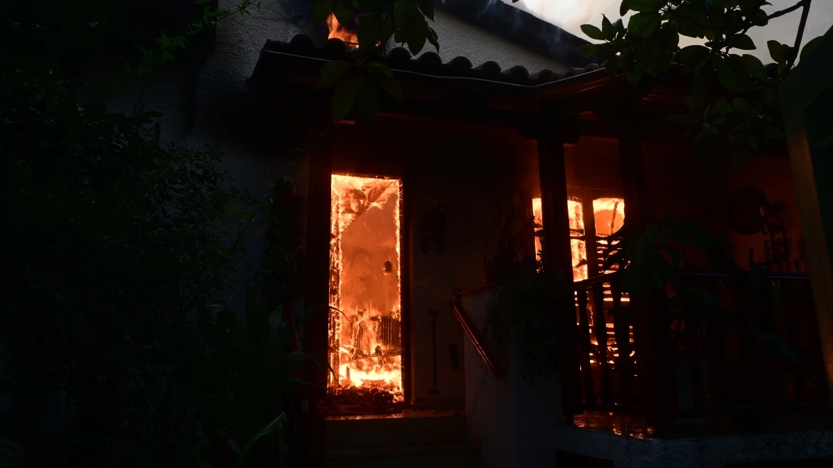 Φωτιά Αττική: Η κοροϊδία των celebrity σε όλο της το μεγαλείο