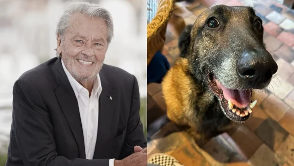 Αλέν Ντελόν: Σάλος με την τελευταία του επιθυμία, εξόργισε κόσμο - Η οικογένειά του αρνήθηκε να την εκπληρώσει