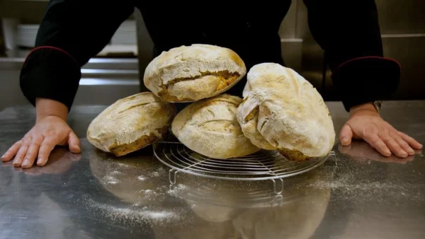 Οι 12 λόγοι που δεν φουσκώνει το ψωμί - Τα λάθη που κάνετε όλοι στο ζύμωμα