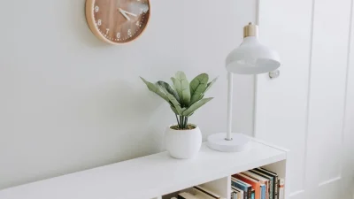 Feng Shui: Αυτά τα 2 φυτά βοηθούν στην γονιμότητα - Που πρέπει να τα βάλετε και γιατί