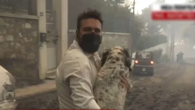 Φωτιά στην Πεντέλη: Ρεπόρτερ του STAR σώζει σκυλάκι από την πύρινη κόλαση