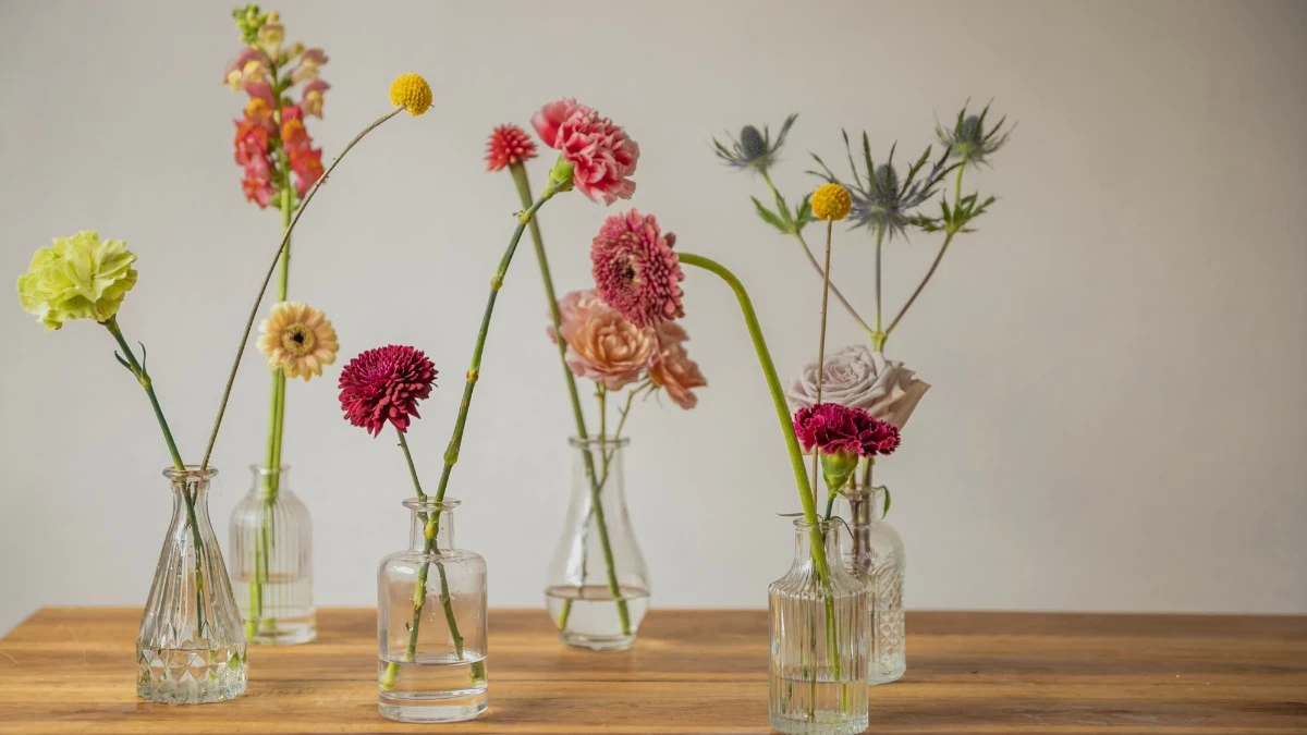 Ζώδια: Τι μας περιμένει σήμερα, Τετάρτη 11 Σεπτεμβρίου