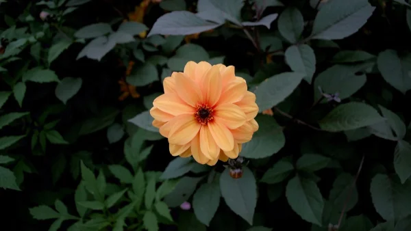 Ζώδια: Τι μας περιμένει σήμερα, Πέμπτη 26 Σεπτεμβρίου