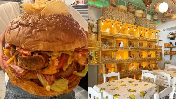 Αθήνα: Σε αυτό το μαγαζί θα φας το μεγαλύτερο μπέργκερ κοτόπουλου της Ελλάδας