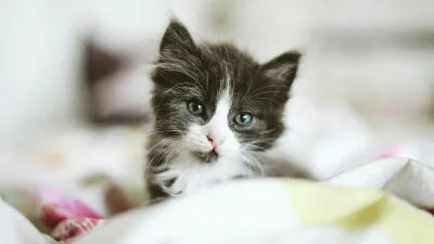 Εορτολόγιο: Ποιοι γιορτάζουν σήμερα, Δευτέρα 23 Σεπτεμβρίου