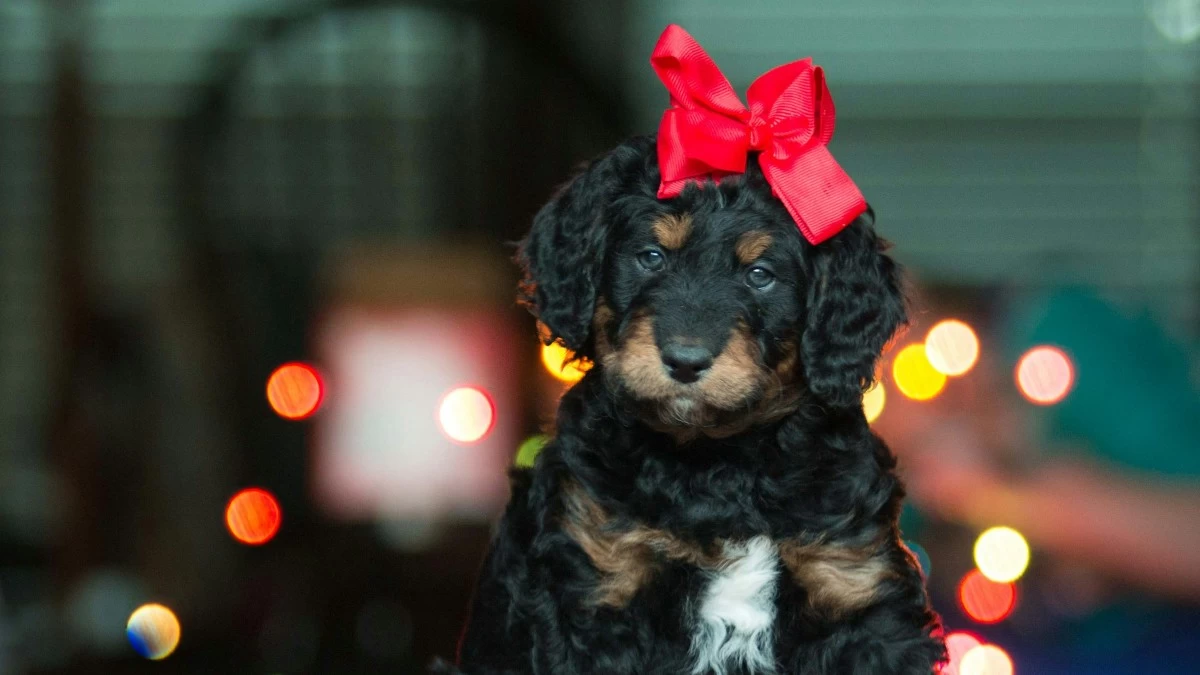 Εορτολόγιο: Ποιοι γιορτάζουν σήμερα, Τρίτη 24 Σεπτεμβρίου