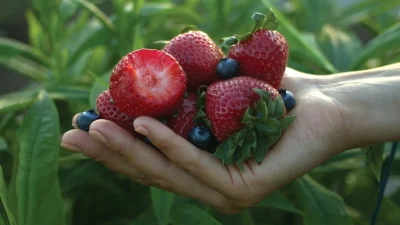 5 αντιφλεγμονώδεις τροφές που πρέπει να εντάξετε στη διατροφή σας