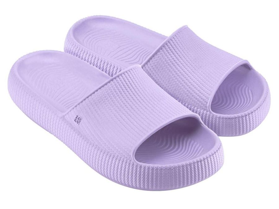 zaxy summer collection