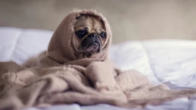 Ζώδια: Τι μας περιμένει σήμερα, Δευτέρα 30 Σεπτεμβρίου