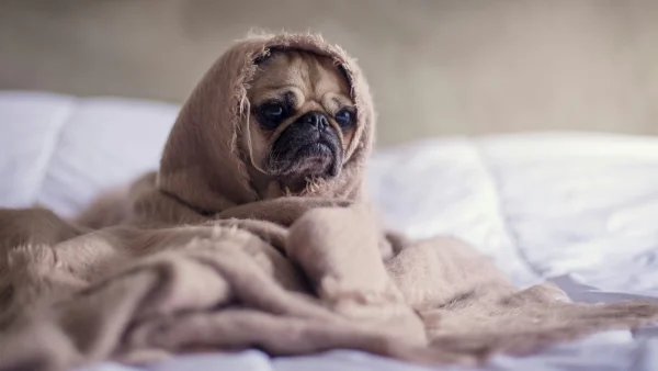 Ζώδια: Τι μας περιμένει σήμερα, Δευτέρα 30 Σεπτεμβρίου