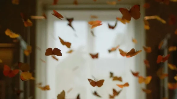 Ζώδια 1/9: Πως ξεκινάει ο Σεπτέμβριος;