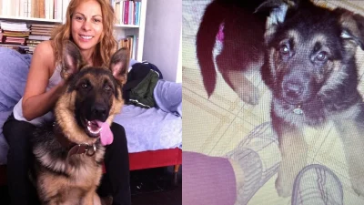 Πένθος για την Ζώζα Μεταξά: Η σπαρακτική ανάρτηση για τον θάνατο του σκύλου της, Άρη