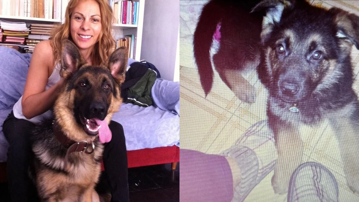 Πένθος για την Ζώζα Μεταξά: Η σπαρακτική ανάρτηση για τον θάνατο του σκύλου της, Άρη