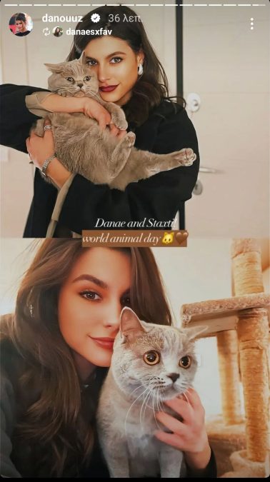 Η Δανάη Παππά με τις γάτες της