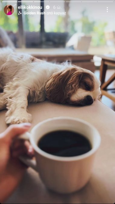 Το σκυλάκι της Έλλης Κοκκίνου