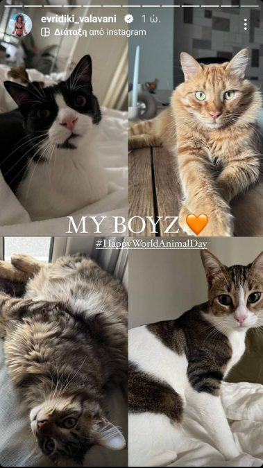 Οι γάτες της Ευρυδίκης Βαλαβάνη