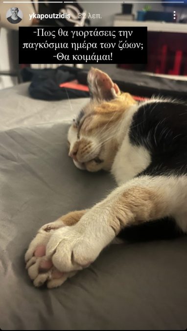 Η γάτα του Γιώργου Καπουτζίδη