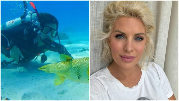 Ο Άγγελος Λάτσιος έκανε κατάδυση στην Ερυθρά Θάλασσα και η Ελένη Μενεγάκη σχολίασε
