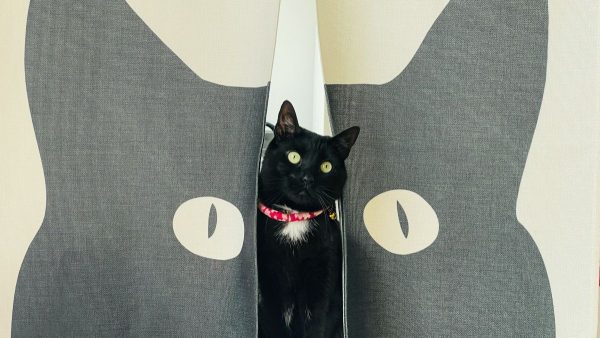 Εορτολόγιο: Ποιοι γιορτάζουν σήμερα, Τετάρτη 2 Οκτωβρίου