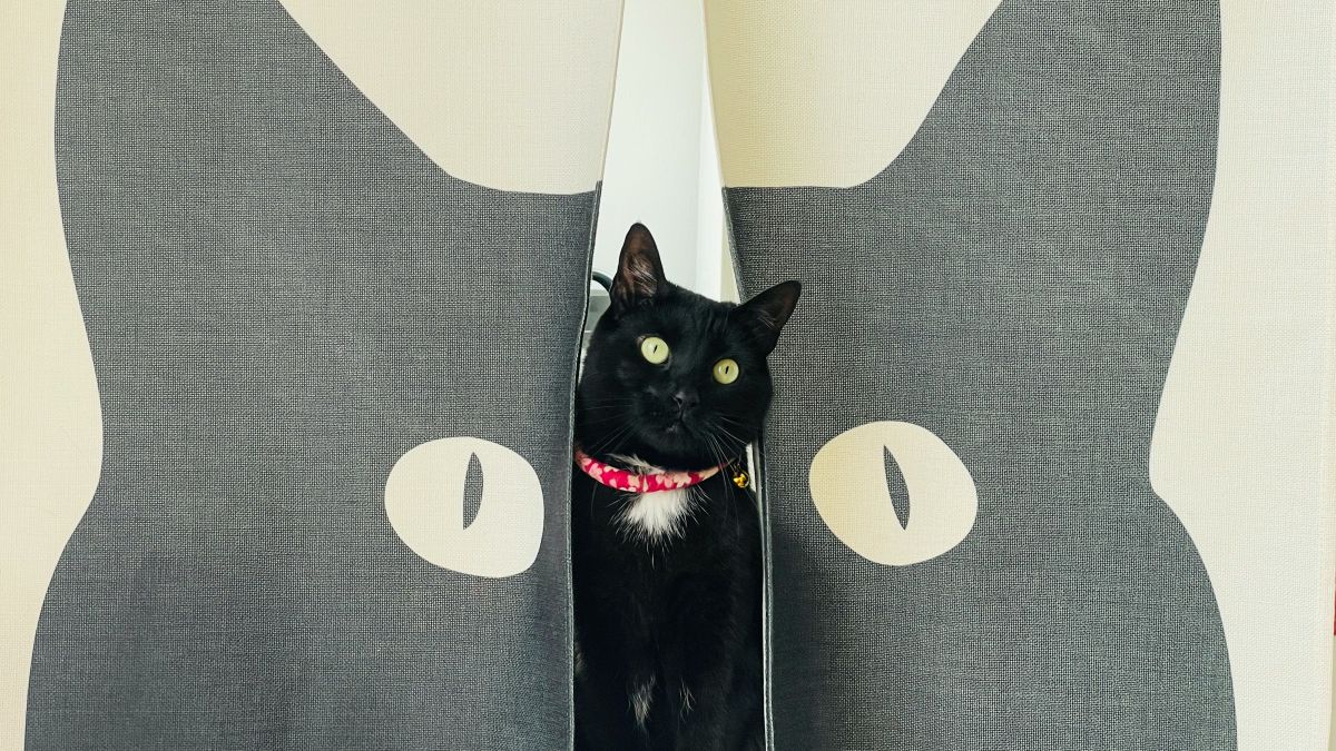 Εορτολόγιο: Ποιοι γιορτάζουν σήμερα, Τετάρτη 2 Οκτωβρίου