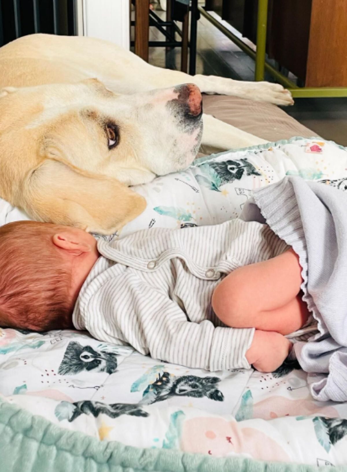 Η πρώτη φωτογραφία του νεογέννητου παιδιού της Ήρας Κατσαντώνη