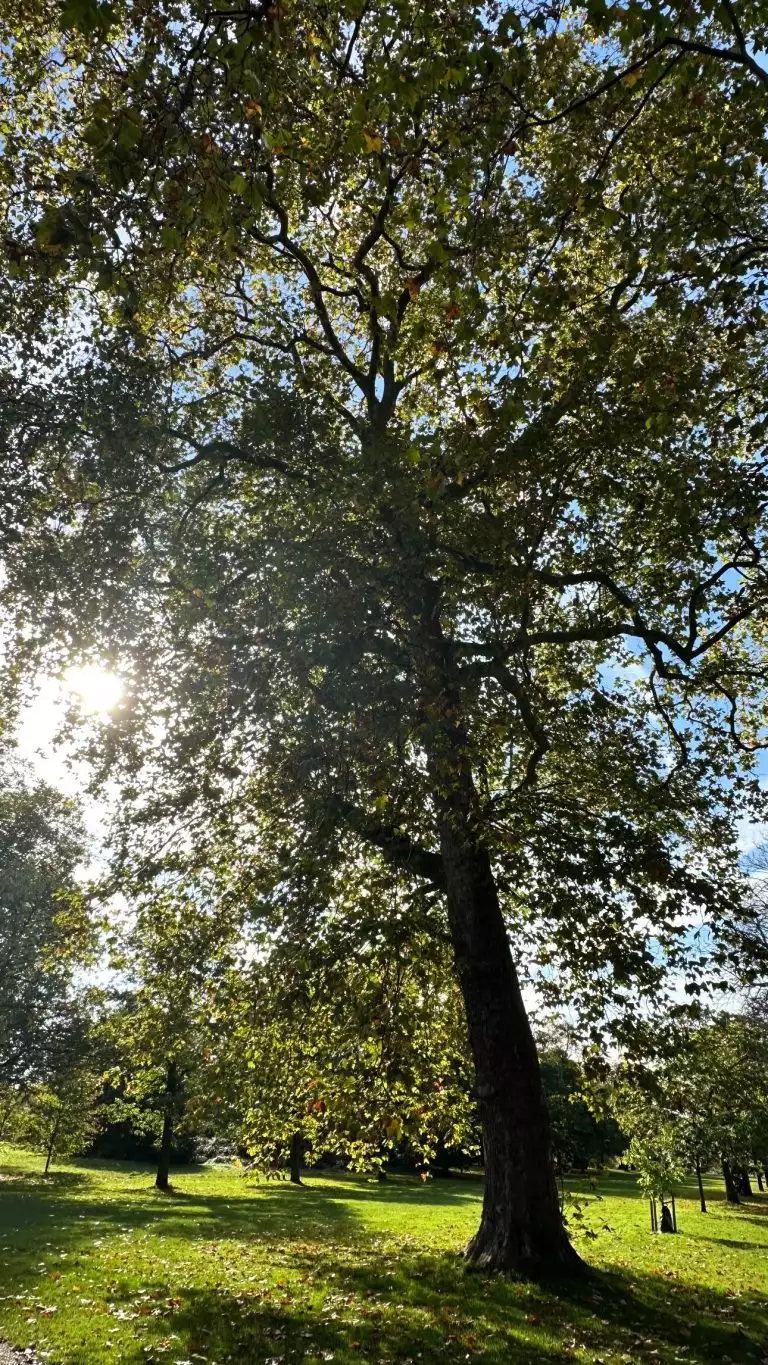 Ξέγνοιαστες στιγμές στο Λονδίνο για την Βίκυ Καγιά!