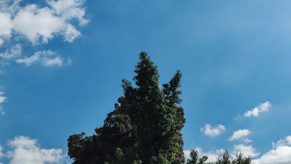 Ο καιρός σήμερα