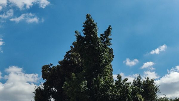 Ο καιρός σήμερα 9/10