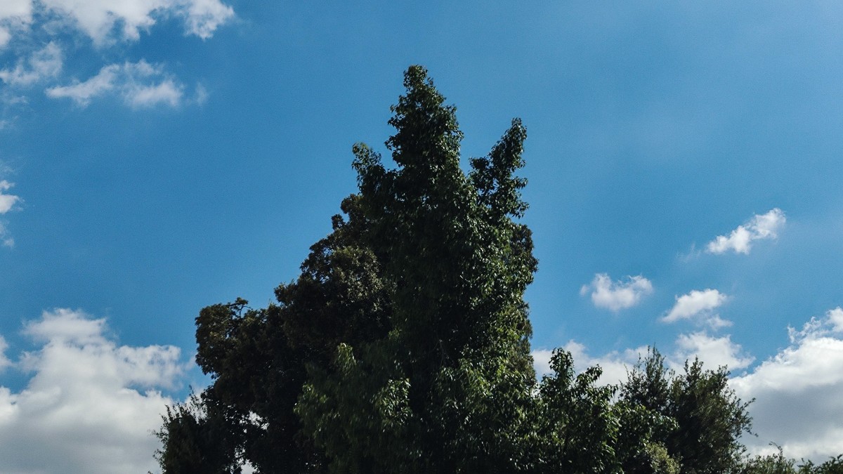 Ο καιρός σήμερα 9/10