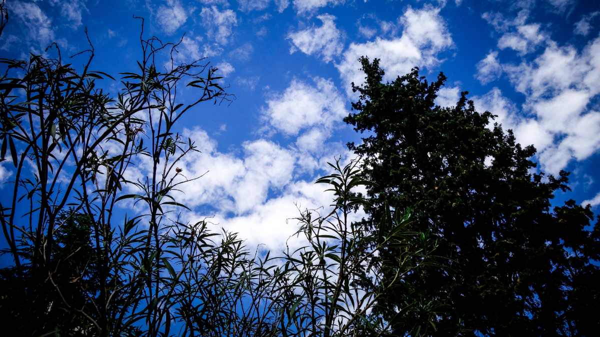 Φωτογραφία του καιρού