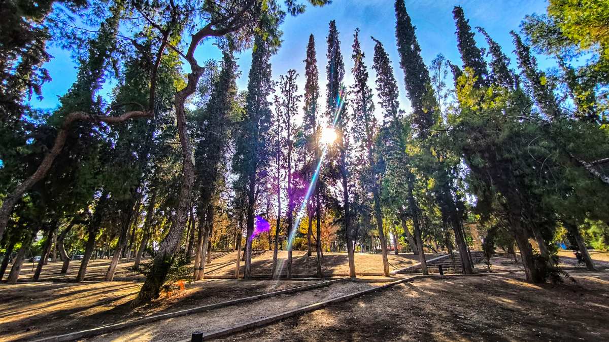 Φωτογραφία από πάρκο της Αθήνας