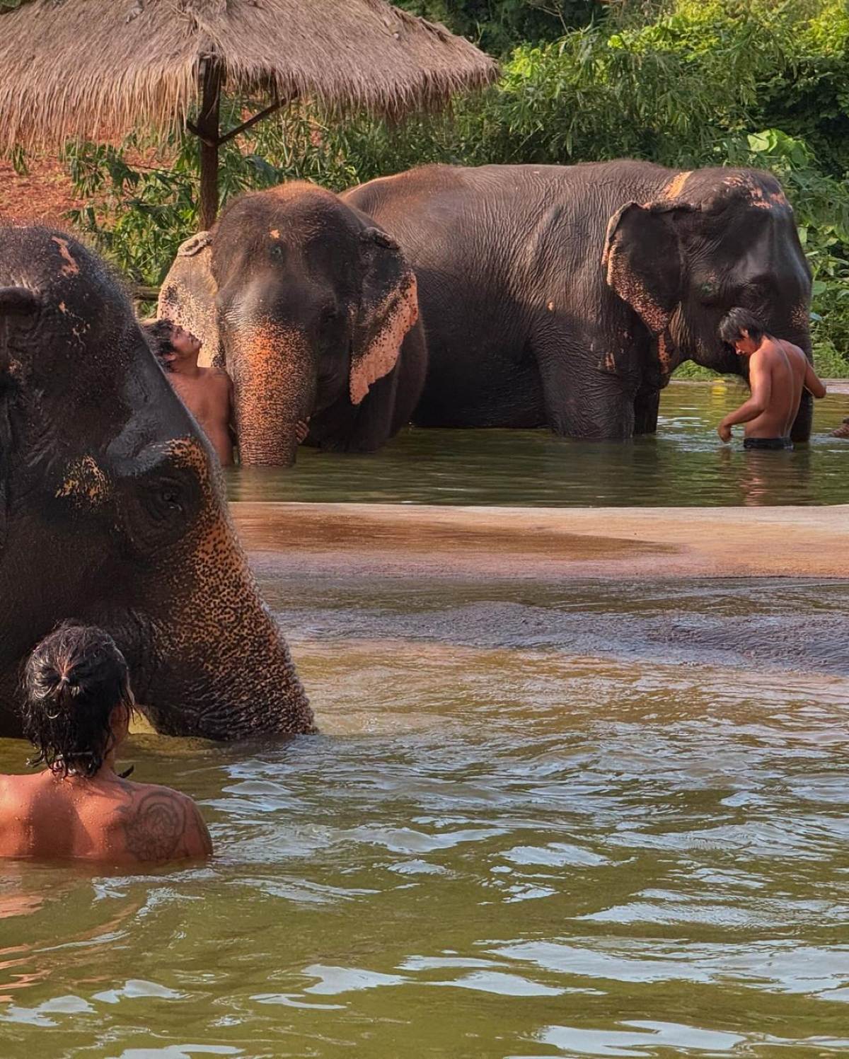 Η ανάρτηση της Μαρίας - Ολυμπίας από την Ταϊλ'ανδη.
