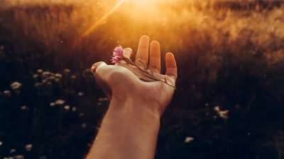 Λουλούδι σε ένα χέρι