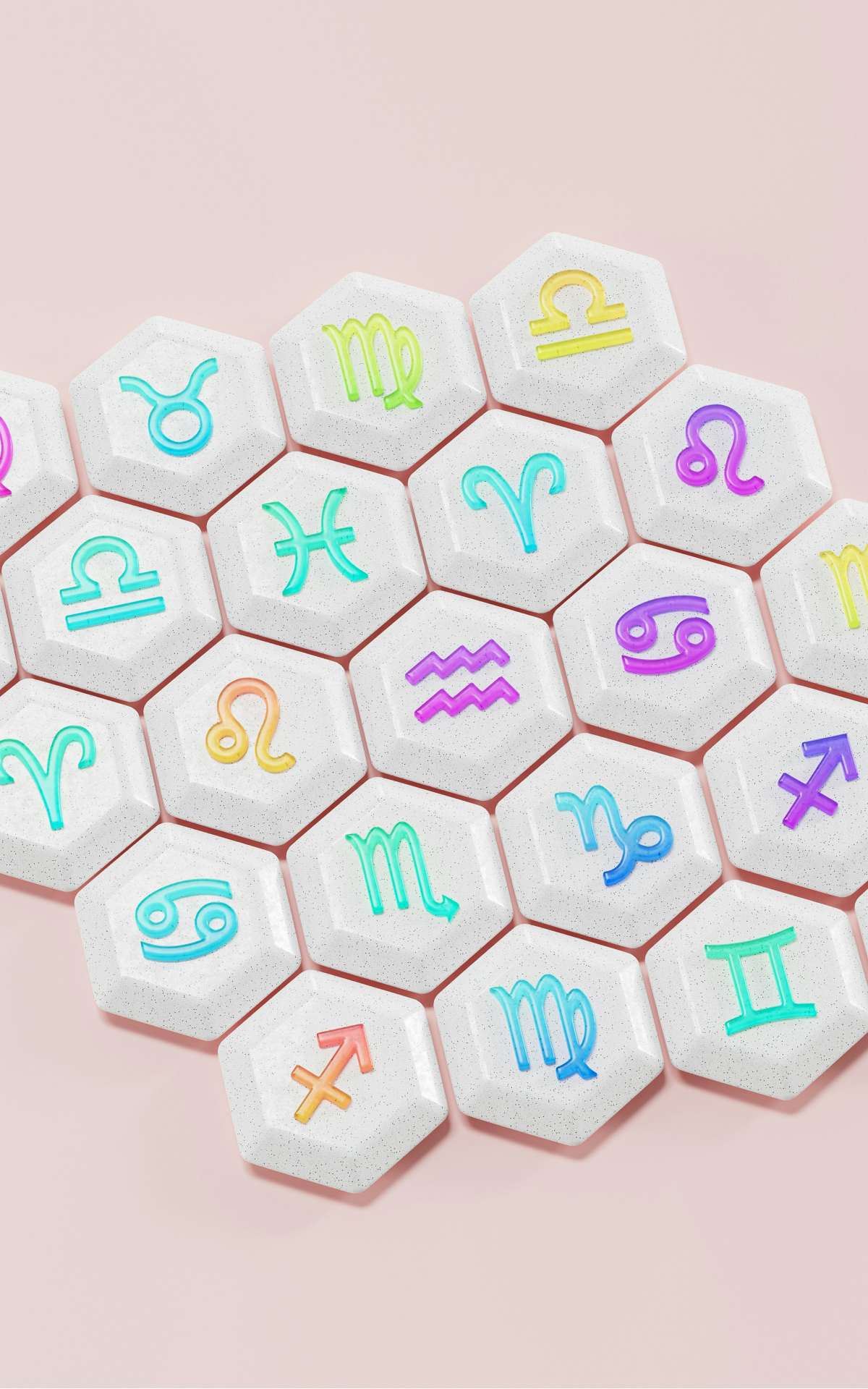 Τα 12 ζώδια σε μια φωτογραφία