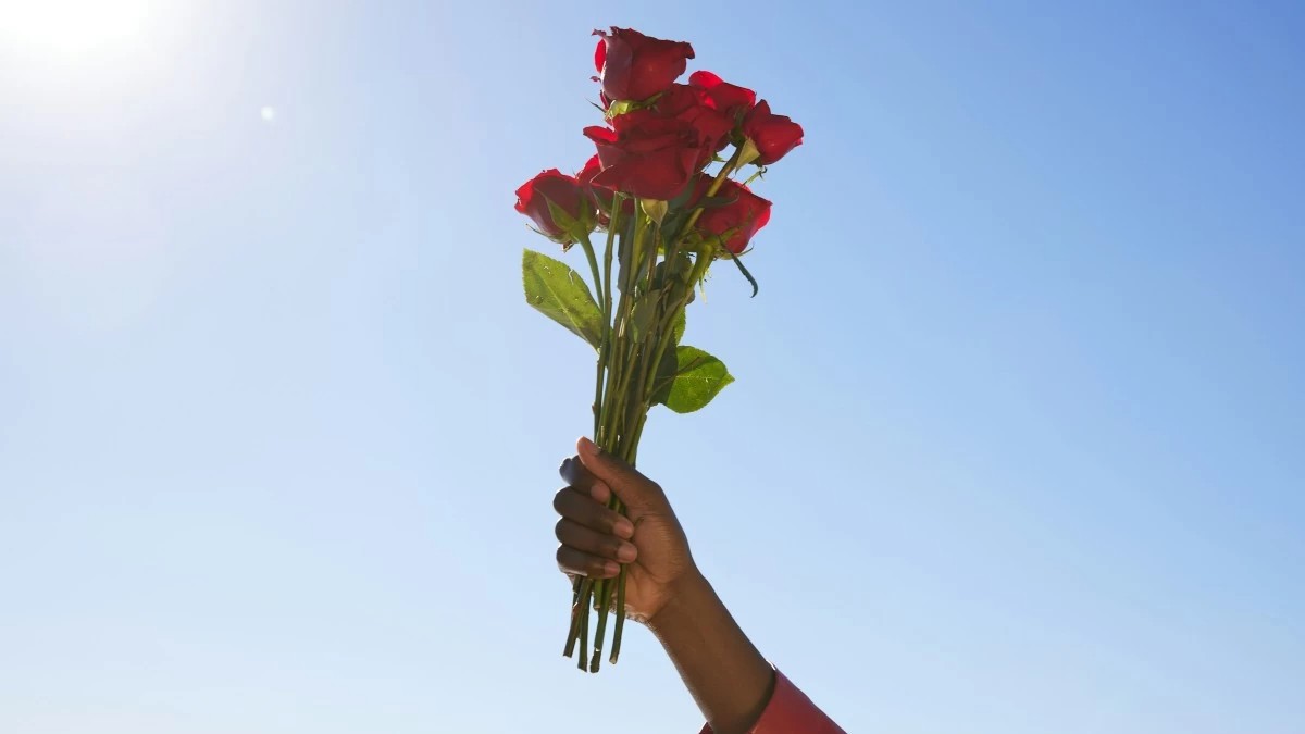 Κόκκινα τριαντάφυλλα